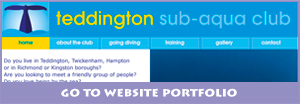 go to website portfolio
